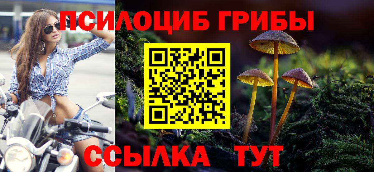 Торжок  Галлюциногенные грибы прущие грибы  купить наркоту  Вход с VPN 