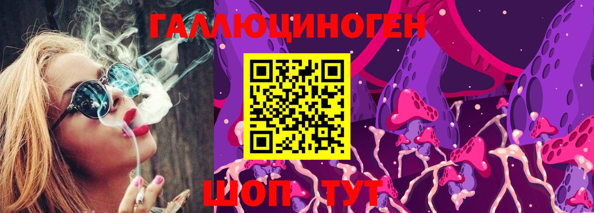 Галлюциногенные грибы Psilocybine cubensis Торжок