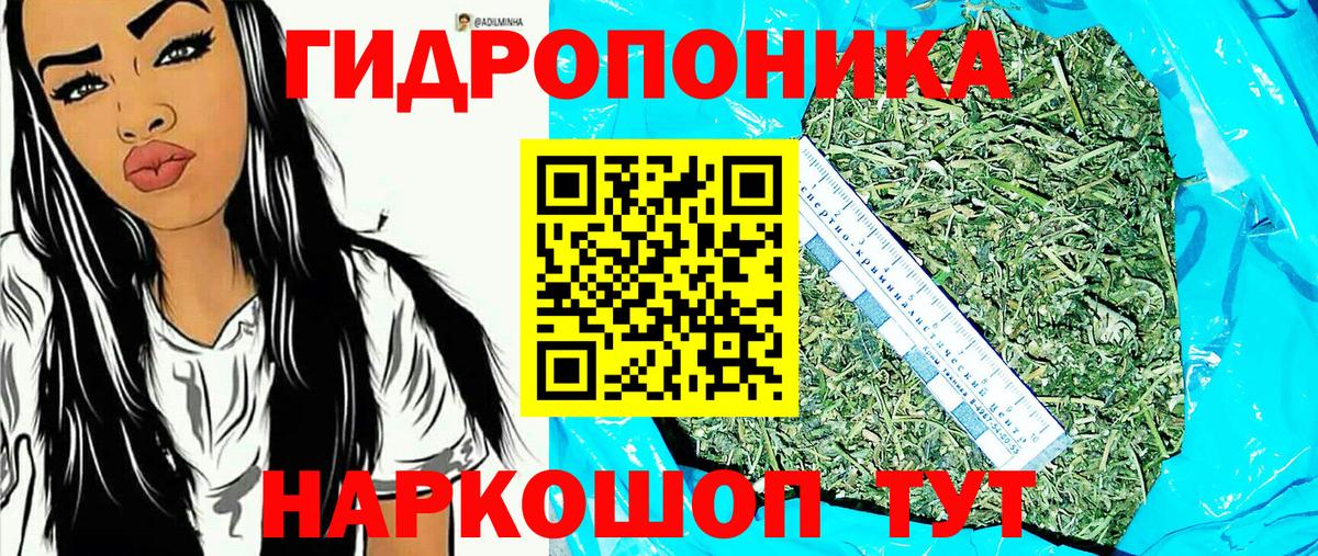 Бошки марихуана Amnesia  МАРИХУАНА OG Kush  Торжок  Вход с VPN 